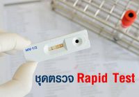 ชุดตรวจ Rapid Test