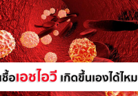 เชื้อเอชไอวี เกิดขึ้นเองได้ไหม